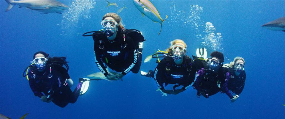 E-Learn Search & Recovery Diver - 1 person pricing