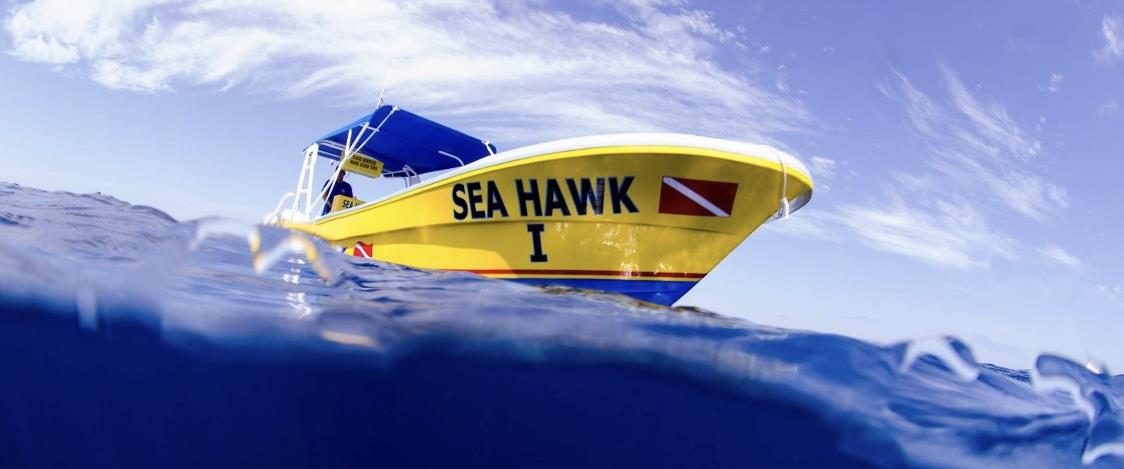 Offshore Fishing Trip Sea Hawk Boat