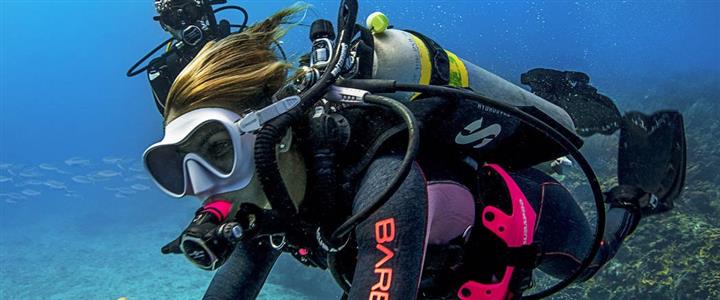 PADI Open Water Diver Course (Full Course With eLearning)