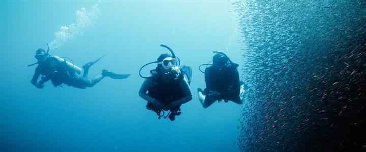 PADI Deep Diver Course $425.00 Includes Two Two-Tank Boat Dives - Book Now $100.00 Deposit