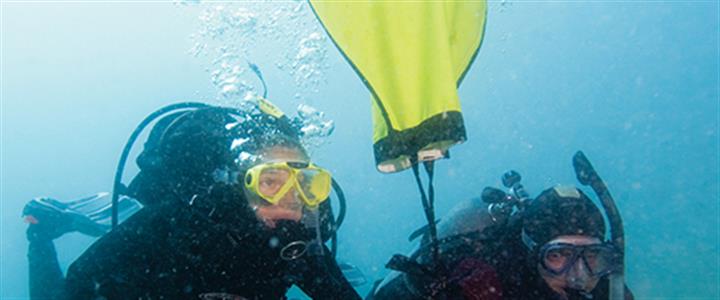 PADI Search & Recovery Diver $250.00