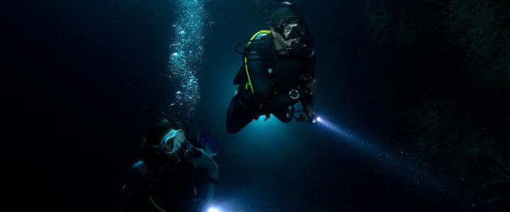 PADI Night Diver Specialty $275.00 Includes One Night Boat Dive and Two Shore Night Dives Book Now $75.00 Deposit