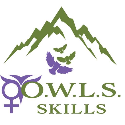 OWLSSkills LLC