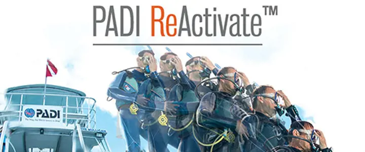 eLearning - ReActivate