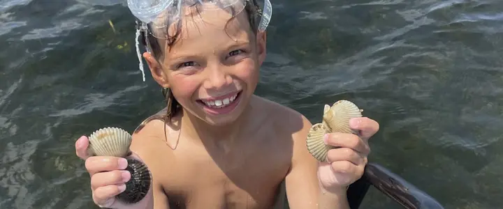 Scalloping