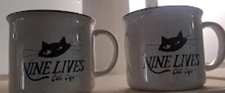 Nine Lives Campfire Mug