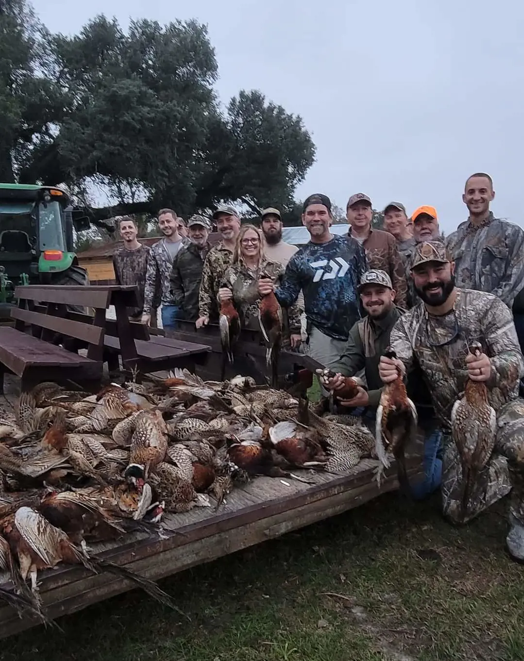 Upland Bird Hunt - Quail/Pheasant Combo (Half-Day)