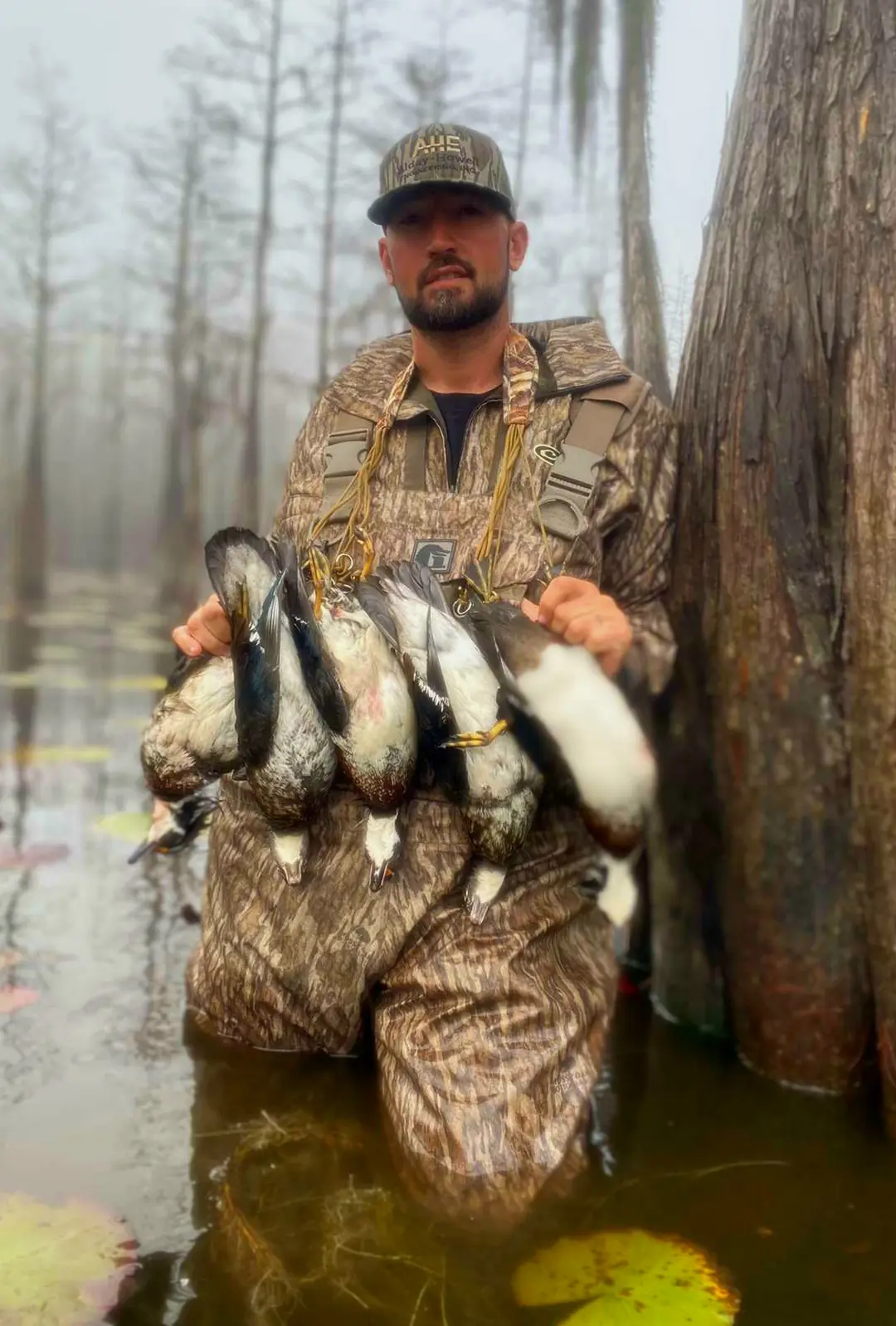 Wild Duck Hunt - Lake Seminole or Bay (Dec. 9 - Jan. 28, 2024)