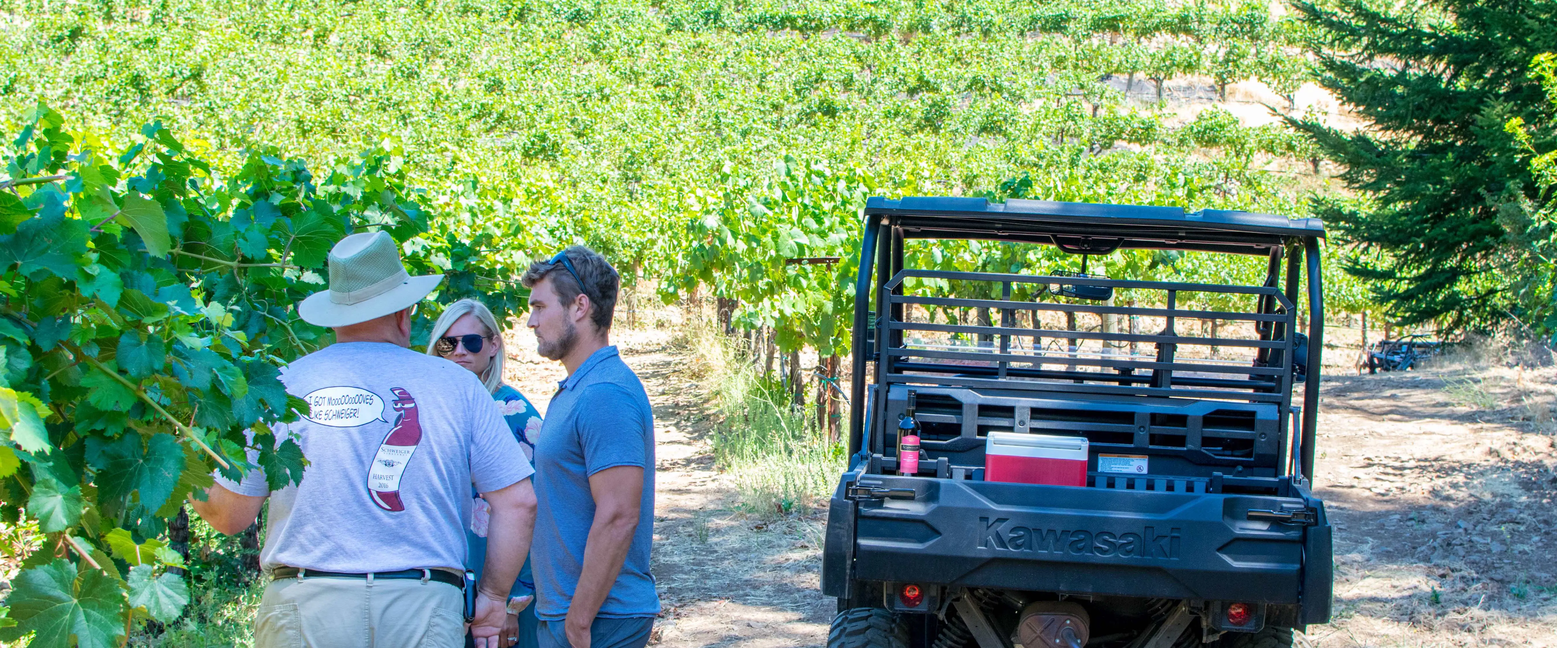 Wine Tour with Napa Valley Winemaker