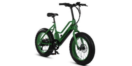 1 Hour e-Bike Rental- Pedego Element 