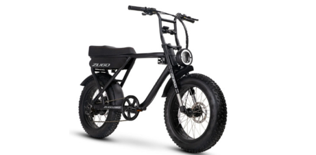 1 Hour e-Bike Rental- Zugo Rhino