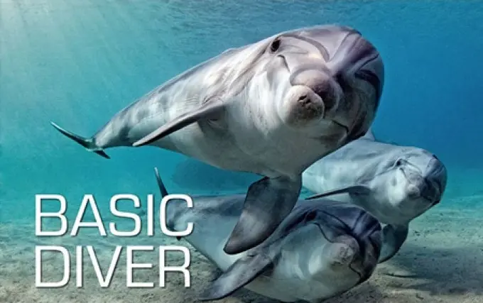SSI Basic Diver 