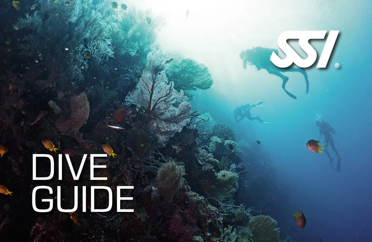 SSI Dive Guide (Non-Professional) 