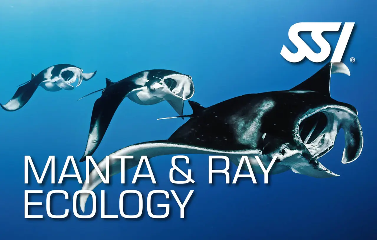 SSI Manta Ray Ecology