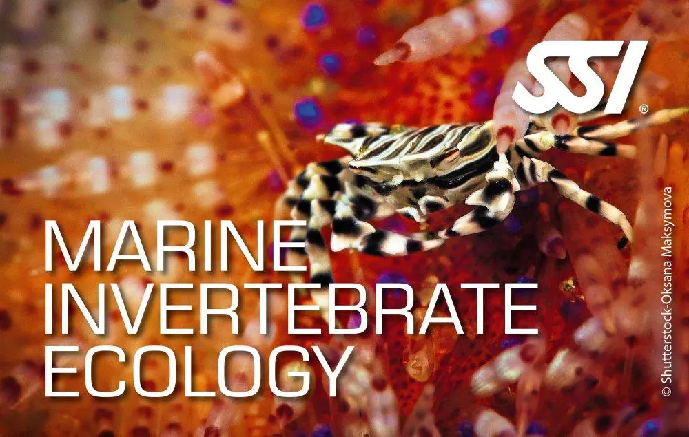 SSI Marine Invertebrates Ecology 
