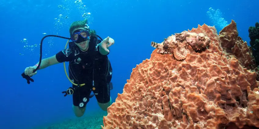 Exciting Scuba Dive in Cozumel: Discover Marine Life with Cozumel Dive Academy