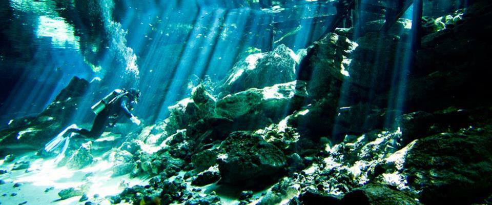 2 Tank Dive Cenote Dos Ojos Gift Card